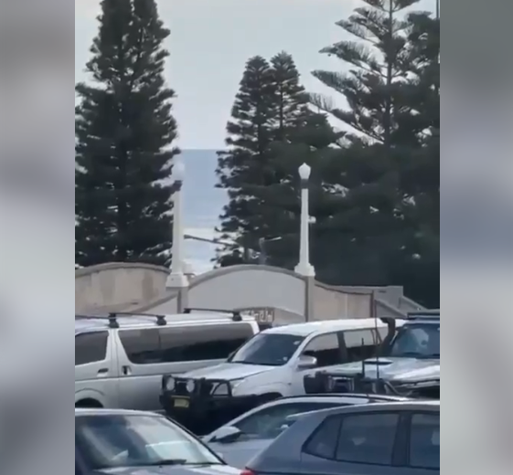 Смертельну стрілянину на святкуванні Хануки в Сіднеї влаштували батько та син